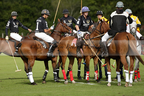 Aryana (black) v Shoreline (yellow) in a Farewell Cup polo match played on Ambersham 5 at Cowdray Park Polo Club on Wednesday 18 September 2013. www.polopictures.co.uk