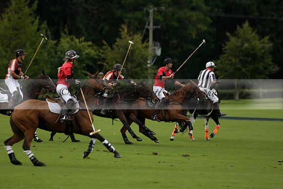 Four Quarters Black (black) v Clashleigh (red) in the Autumn Cup subsidiary final polo match on Ambersham 2 at Cowdray Park Polo Club on Sunday 22 September 2013 www.polopictures.co.uk