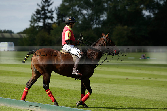 Four Quarters Black (black) v BHC (red) in a Autumn Cup polo match on Ambersham 2 at Cowdray Park Polo Club on Friday 20 September 2013 www.polopictures.co.uk