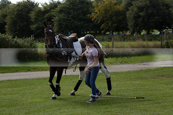 Four Quarters Black (black) v BHC (red) in a Autumn Cup polo match on Ambersham 2 at Cowdray Park Polo Club on Friday 20 September 2013 www.polopictures.co.uk