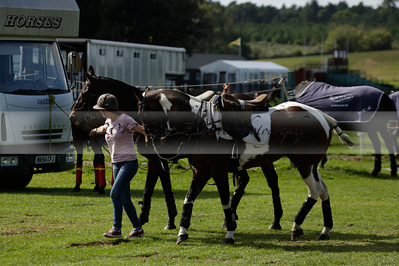Four Quarters Black (black) v BHC (red) in a Autumn Cup polo match on Ambersham 2 at Cowdray Park Polo Club on Friday 20 September 2013 www.polopictures.co.uk
