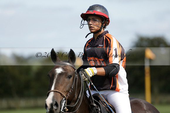 Four Quarters Black (black) v BHC (red) in a Autumn Cup polo match on Ambersham 2 at Cowdray Park Polo Club on Friday 20 September 2013 www.polopictures.co.uk