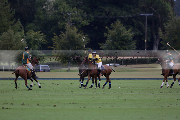 Maiz Dulce (green) v Las Esterellas (yellow) in the PSI Final polo match at Cowdray Park Polo Club on Ambersham 2 on Sunday 2013.09.08 www.polopictures.co.uk
