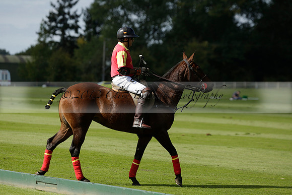 Four Quarters Black (black) v BHC (red) in a Autumn Cup polo match on Ambersham 2 at Cowdray Park Polo Club on Friday 20 September 2013 www.polopictures.co.uk