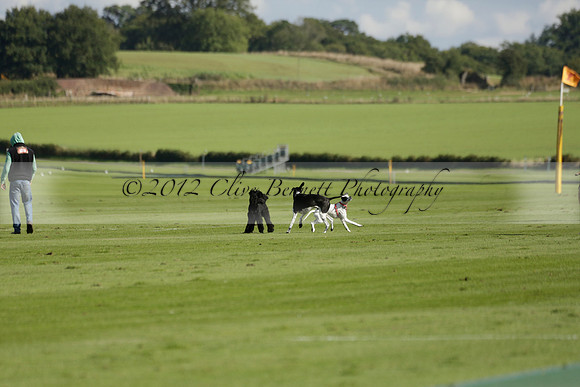 Aryana (black) v Shoreline (yellow) in a Farewell Cup polo match played on Ambersham 5 at Cowdray Park Polo Club on Wednesday 18 September 2013. www.polopictures.co.uk