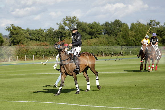Aryana (black) v Shoreline (yellow) in a Farewell Cup polo match played on Ambersham 5 at Cowdray Park Polo Club on Wednesday 18 September 2013. www.polopictures.co.uk