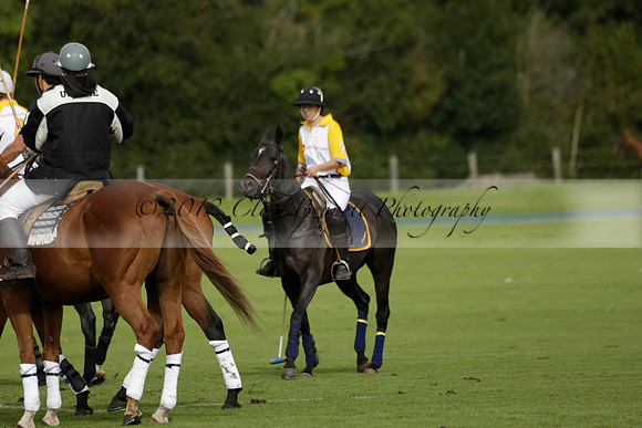 Aryana (black) v Shoreline (yellow) in a Farewell Cup polo match played on Ambersham 5 at Cowdray Park Polo Club on Wednesday 18 September 2013. www.polopictures.co.uk