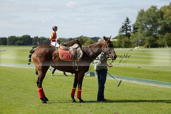 Four Quarters Black (black) v BHC (red) in a Autumn Cup polo match on Ambersham 2 at Cowdray Park Polo Club on Friday 20 September 2013 www.polopictures.co.uk