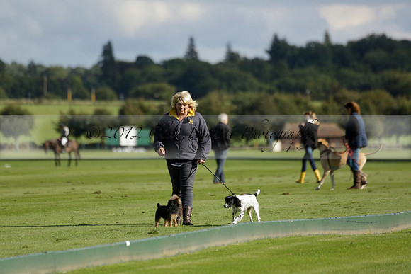 Aryana (black) v Shoreline (yellow) in a Farewell Cup polo match played on Ambersham 5 at Cowdray Park Polo Club on Wednesday 18 September 2013. www.polopictures.co.uk