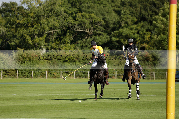 Aryana (black) v Shoreline (yellow) in a Farewell Cup polo match played on Ambersham 5 at Cowdray Park Polo Club on Wednesday 18 September 2013. www.polopictures.co.uk