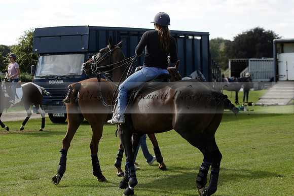 Four Quarters Black (black) v BHC (red) in a Autumn Cup polo match on Ambersham 2 at Cowdray Park Polo Club on Friday 20 September 2013 www.polopictures.co.uk