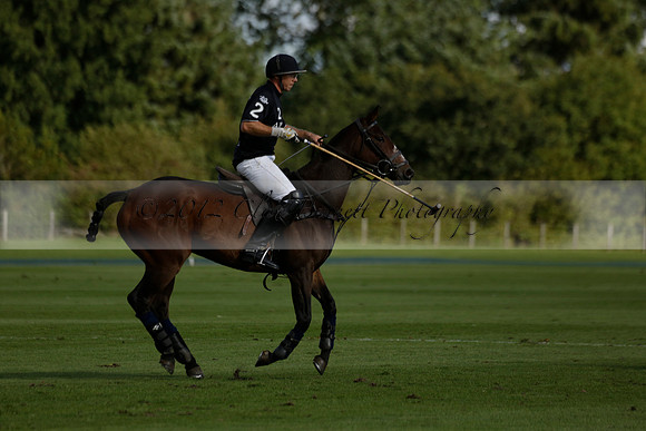 Aryana (black) v Shoreline (yellow) in a Farewell Cup polo match played on Ambersham 5 at Cowdray Park Polo Club on Wednesday 18 September 2013. www.polopictures.co.uk