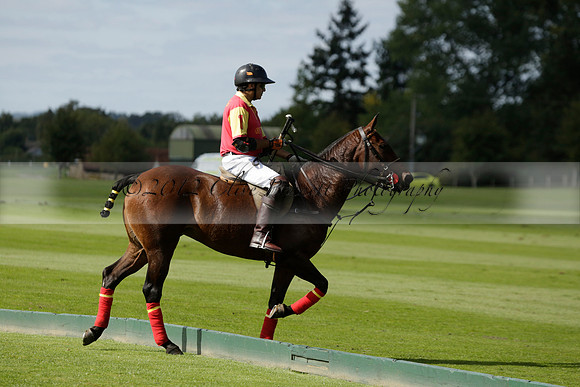 Four Quarters Black (black) v BHC (red) in a Autumn Cup polo match on Ambersham 2 at Cowdray Park Polo Club on Friday 20 September 2013 www.polopictures.co.uk