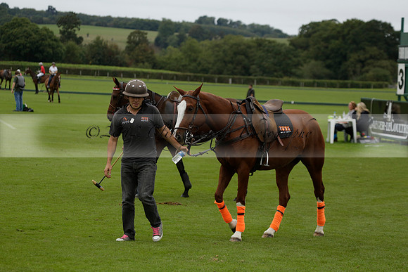 Four Quarters Black (black) v Clashleigh (red) in the Autumn Cup subsidiary final polo match on Ambersham 2 at Cowdray Park Polo Club on Sunday 22 September 2013 www.polopictures.co.uk