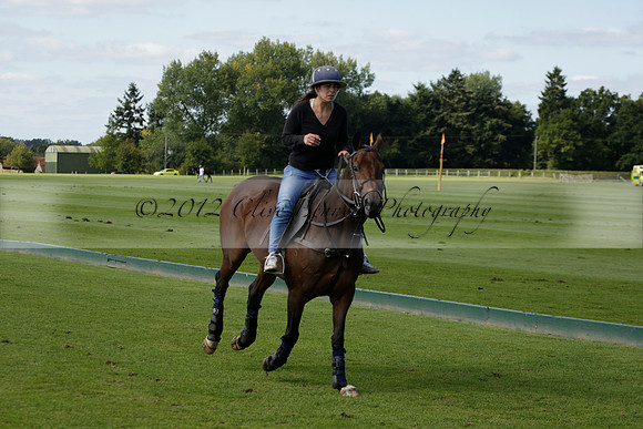 Four Quarters Black (black) v BHC (red) in a Autumn Cup polo match on Ambersham 2 at Cowdray Park Polo Club on Friday 20 September 2013 www.polopictures.co.uk