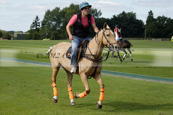 Four Quarters Black (black) v BHC (red) in a Autumn Cup polo match on Ambersham 2 at Cowdray Park Polo Club on Friday 20 September 2013 www.polopictures.co.uk