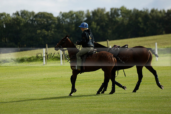 Aryana (black) v Shoreline (yellow) in a Farewell Cup polo match played on Ambersham 5 at Cowdray Park Polo Club on Wednesday 18 September 2013. www.polopictures.co.uk
