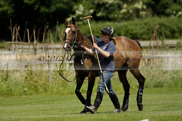 Maiz Dulce v Emlor in a Barrett Cup Polo match 2013.06.30