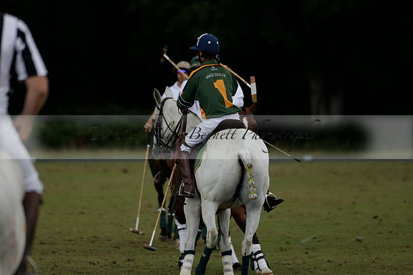 The Blue Jackets Cup polo match played between Maize Dulce (green) vs Home Farm (white) At the New Forest Polo Club on Sunday 18 August 2013