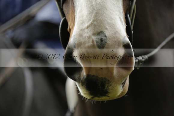Devon & Somerset Stag Hounds meet at Liscombe on Saturday 12 October 2013 2013.10.12 www.polopictures.co.uk
