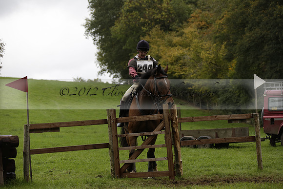 Chiddingfold, Leconfield and Cowdray Hunt, Hunter Trials at Iping on Sunday 20 October 2013. 2013.10.20 www.polopictures.co.uk