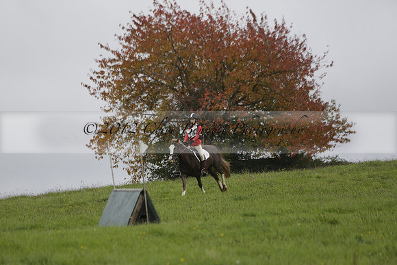 Chiddingfold, Leconfield and Cowdray Hunt, Hunter Trials at Iping on Sunday 20 October 2013. 2013.10.20 www.polopictures.co.uk