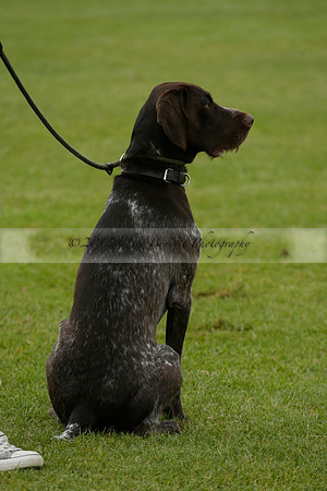 River v Maiz Dulce in a Jaeger Le Coultre Dollar Cup Polo match 2013.05.22