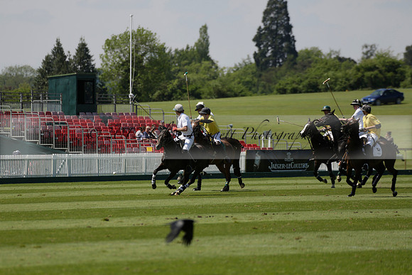 Maiz Dulce v Pluma Negra in a Jubilee 6 Goal Polo match 2013.05.27
