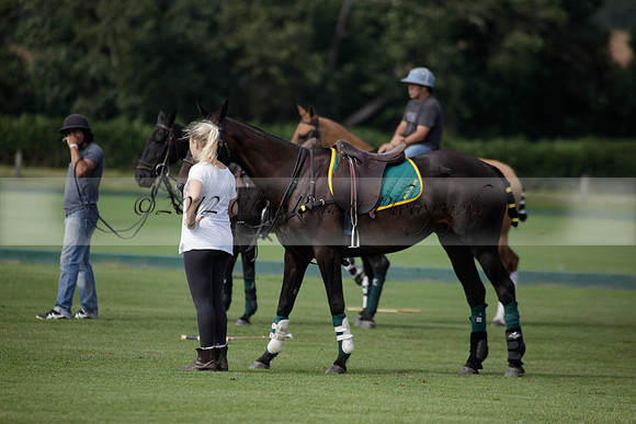 Maiz Dulce v Combe in a Brecknock Cup polo match played on Ambersham 2 at Cowdray Park Polo Club on Friday 17 August 2012