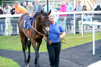 Race 6 The Bet Clever Betgoodwin Handicap Hurdle Race 2025.06.10