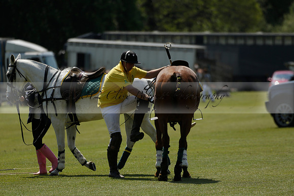 Maiz Dulce v Pluma Negra in a Jubilee 6 Goal Polo match 2013.05.27