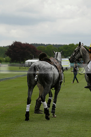 River v Maiz Dulce in a Jaeger Le Coultre Dollar Cup Polo match 2013.05.22