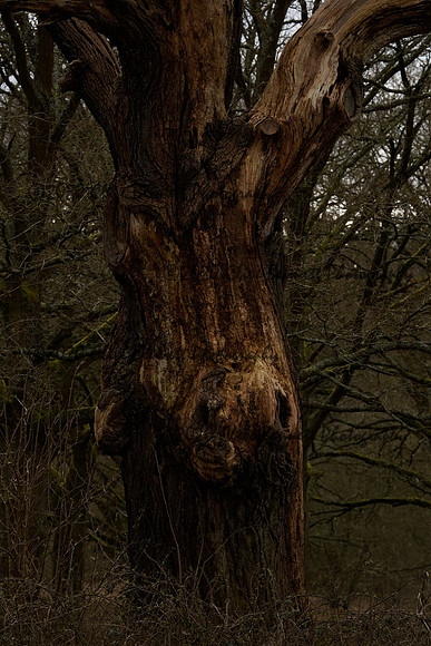 _CAB6690
