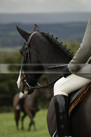 Devon & Somerset Stag Hounds meet at Hillhead Cross on Monday 14 October 2013. 2013.10.14 www.polopictures.co.uk