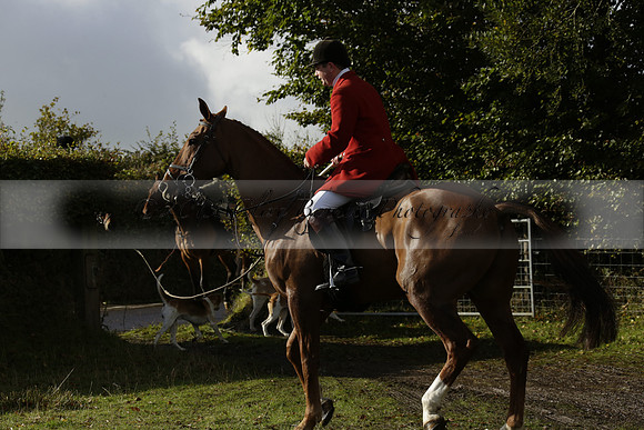 Devon & Somerset StagHounds meet at Five Cross Ways on Thursday 17 October 2013. 2013.10.17 www.polopictures.co.uk