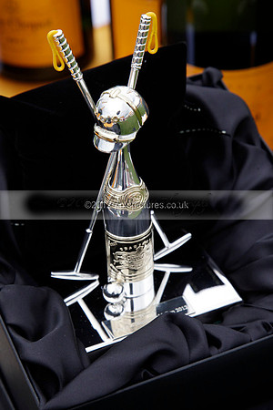 at the Veuve Clicquot Gold Cup Final Cowdray Park Polo Club on Sunday July 2012