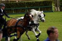 Osborne Refridgeration Scurry Racing at Hickstead on Saturday 21 June 2025