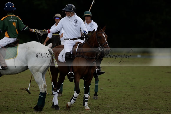 The Blue Jackets Cup polo match played between Maize Dulce (green) vs Home Farm (white) At the New Forest Polo Club on Sunday 18 August 2013
