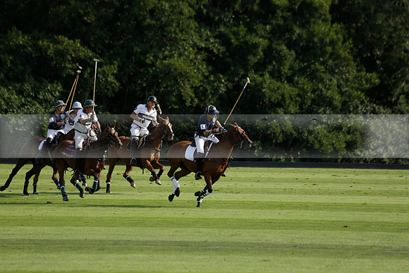 Pandas (white) v Home Farm (navy) in a Park House West Sussex Cup Polo match on Brooksfield at Cowdray Park Polo Club on Friday 30 August 2013. 2013.08.30 www.polopictures.co.uk