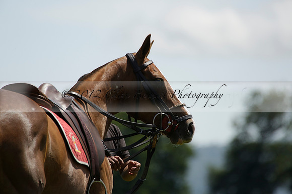 Maiz Dulce v Emlor in a Barrett Cup Polo match 2013.06.30