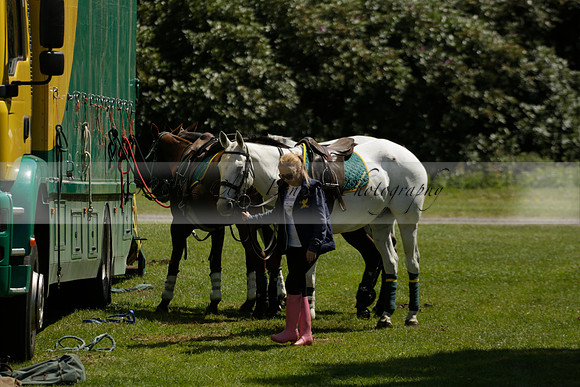 Maiz Dulce v Pluma Negra in a Jubilee 6 Goal Polo match 2013.05.27