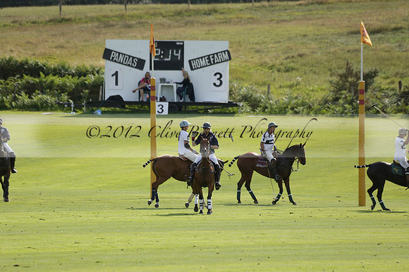 Pandas (white) v Home Farm (navy) in a Park House West Sussex Cup Polo match on Brooksfield at Cowdray Park Polo Club on Friday 30 August 2013. 2013.08.30 www.polopictures.co.uk