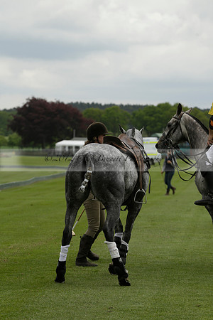 River v Maiz Dulce in a Jaeger Le Coultre Dollar Cup Polo match 2013.05.22