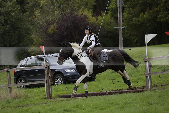 Chiddingfold, Leconfield and Cowdray Hunt, Hunter Trials at Iping on Sunday 20 October 2013. 2013.10.20 www.polopictures.co.uk