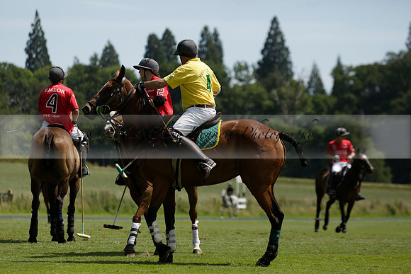 Maiz Dulce v Emlor in a Barrett Cup Polo match 2013.06.30