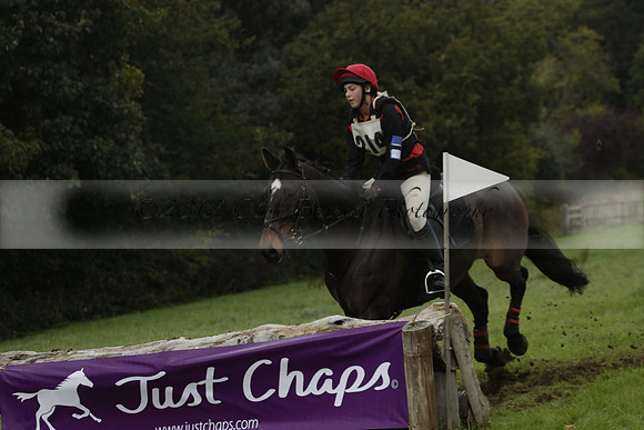 Chiddingfold, Leconfield and Cowdray Hunt, Hunter Trials at Iping on Sunday 20 October 2013. 2013.10.20 www.polopictures.co.uk