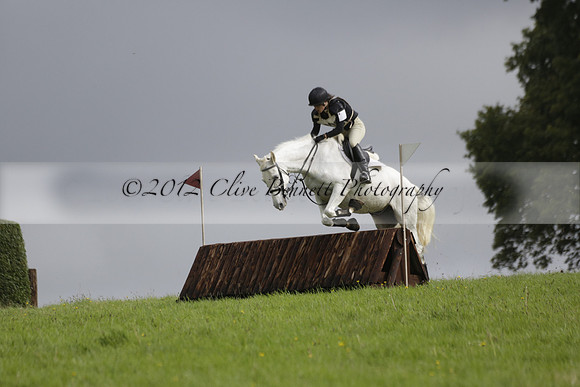 Chiddingfold, Leconfield and Cowdray Hunt, Hunter Trials at Iping on Sunday 20 October 2013. 2013.10.20 www.polopictures.co.uk