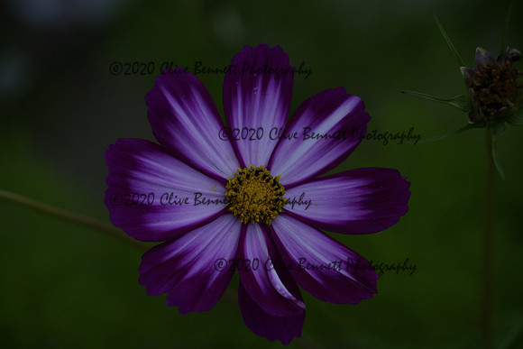 _CAB0925