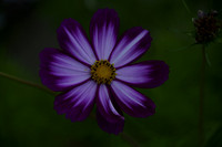 _CAB0924
