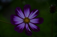 _CAB0926